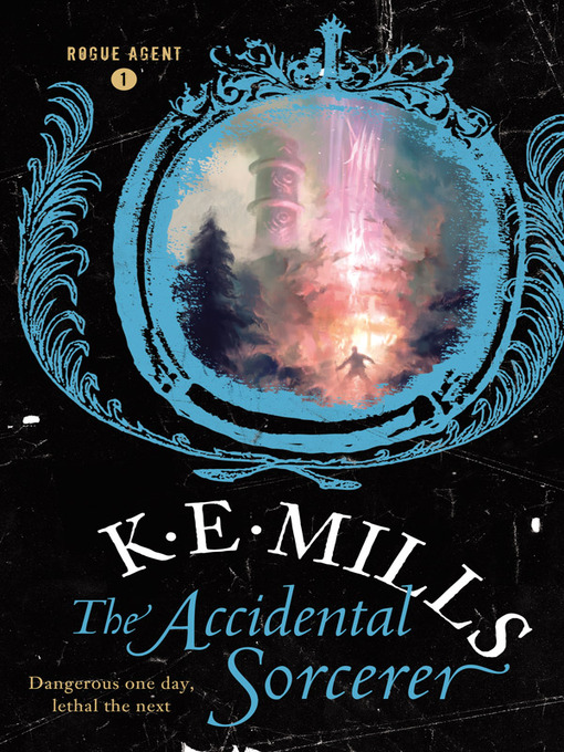 Cover image for The Accidental Sorcerer